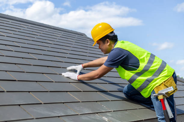 Best Metal Roofing Contractor  in Minden, NV