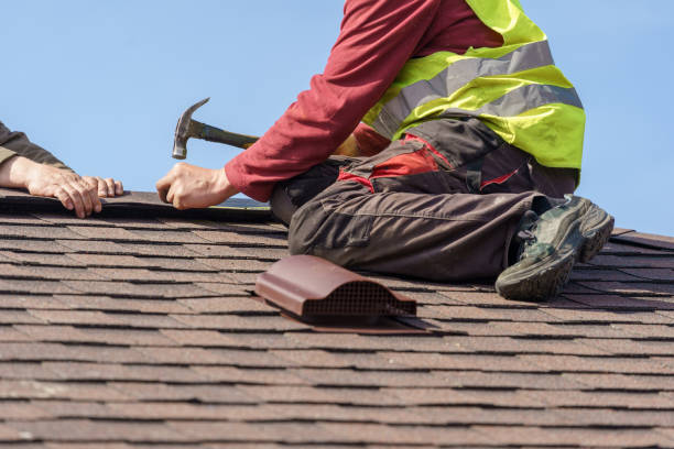 Professional Roofing Contractor in Minden, NV