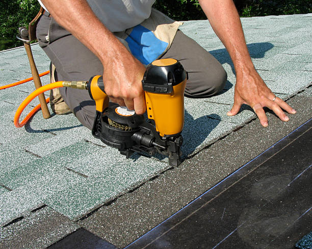 Roof Gutter Cleaning in Minden, NV