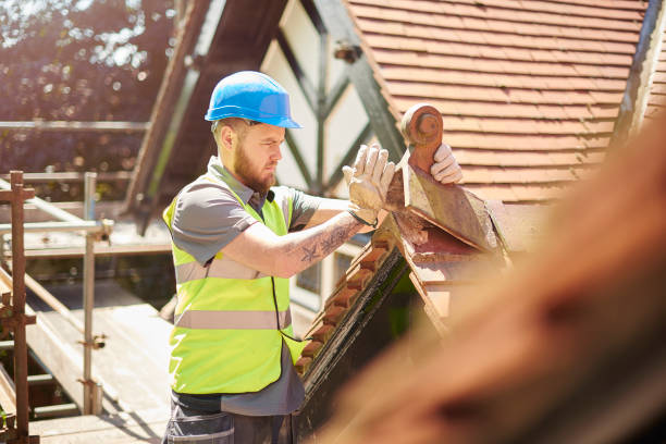 Best Roof Gutter Cleaning  in Minden, NV